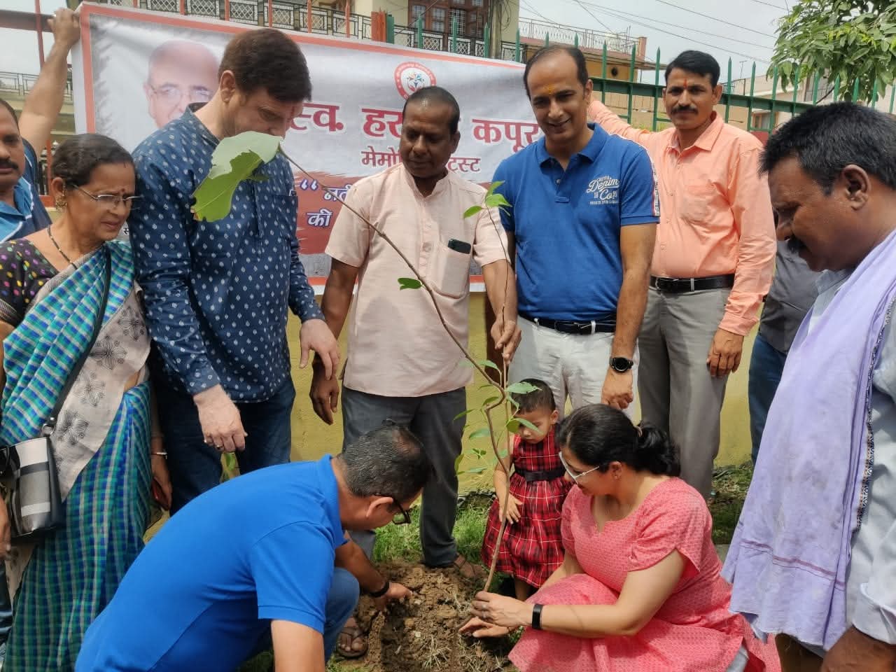 Tree Plantation